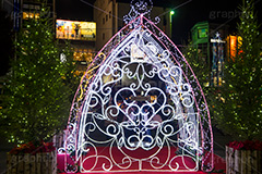 自由が丘イルミネーション,イルミネーション,イルミ,電飾,電球,発光ダイオード,冬,キラキラ,綺麗,きれい,キレイ,煌,輝,デート,スポット,都内,自由が丘,イベント,目黒区,駅前,アーチ,行事,LED,illumination