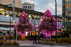 高円寺イルミネーション,イルミネーション,イルミ,illumination,pink,電飾,電球,発光ダイオード,LED,冬,キラキラ,綺麗,きれい,キレイ,煌,輝,都内,クリスマス,高円寺,杉並区,駅前,南口広場,広場,ピンク