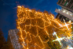阿佐ヶ谷のイルミネーション,クリスマスツリー,ツリー,イルミネーション,イルミ,illumination,Christmas,電飾,電球,冬,キラキラ,綺麗,きれい,キレイ,煌,輝,都内,クリスマス,阿佐ヶ谷,あさがや,駅前,新宿区,クロスフィルタ,ロータリー