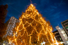 阿佐ヶ谷のイルミネーション,クリスマスツリー,ツリー,イルミネーション,イルミ,illumination,Christmas,電飾,電球,冬,キラキラ,綺麗,きれい,キレイ,煌,輝,都内,クリスマス,阿佐ヶ谷,あさがや,駅前,新宿区,クロスフィルタ,ロータリー