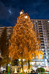 阿佐ヶ谷のイルミネーション,クリスマスツリー,ツリー,イルミネーション,イルミ,illumination,Christmas,電飾,電球,冬,キラキラ,綺麗,きれい,キレイ,煌,輝,都内,クリスマス,阿佐ヶ谷,あさがや,駅前,新宿区,ロータリー