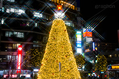 吉祥寺のイルミネーション,クリスマスツリー,ツリー,イルミネーション,イルミ,illumination,Christmas,電飾,電球,冬,キラキラ,綺麗,きれい,キレイ,煌,輝,クリスマス,吉祥寺,駅前,武蔵野市,ロータリー,クロスフィルタ
