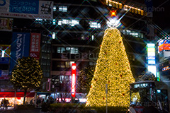 吉祥寺のイルミネーション,クリスマスツリー,ツリー,イルミネーション,イルミ,illumination,Christmas,電飾,電球,冬,キラキラ,綺麗,きれい,キレイ,煌,輝,クリスマス,吉祥寺,駅前,武蔵野市,ロータリー,クロスフィルタ