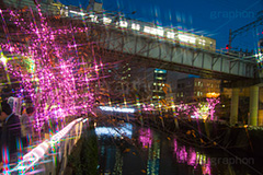 みんなのイルミネーション,目黒川,品川,イルミネーション,イルミ,illumination,pink,桜,さくら,ピンク,電飾,電球,発光ダイオード,LED,冬,キラキラ,綺麗,きれい,キレイ,煌,輝,品川区,駅前,大崎,五反田,クロスフィルタ