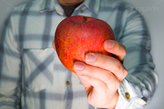 リンゴを持つ男,りんご,リンゴ,林檎,フルーツ,果実,果物,実,持つ,fruit,hand,image,model,男性,モデル,男,青年,手,イメージ,人物,ネルシャツ,チェック,シャツ,謎