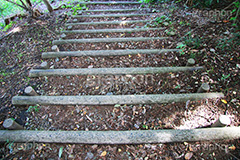 公園の階段,公園,自然,落ち葉,階段,登る,下りる,丸太,park,散歩,遊歩道,木漏れ日