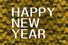 HAPPY NEW YEAR,ハッピーニューイヤー,カウントダウン,ニューイヤー,新年,アニバーサリー,年賀,年賀状,お正月,正月,年明け,和,和風,文字,台詞,キーワード,ワード,タイトル,メッセージ,イベント,行事,風習,anniversary,japan,word,keyword,title,message,event