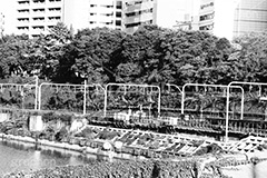 市ヶ谷(モノクロ),モノクロ,白黒,しろくろ,モノクローム,単色画,単彩画,単色,市ヶ谷