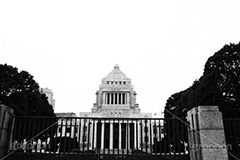 国会前(モノクロ),モノクロ,白黒,しろくろ,モノクローム,単色画,単彩画,単色,政治