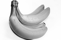 ばなな(モノクロ),モノクロ,白黒,しろくろ,モノクローム,単色画,単彩画,単色,フルーツ