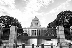 国会正面(モノクロ),モノクロ,白黒,しろくろ,モノクローム,単色画,単彩画,単色,政治