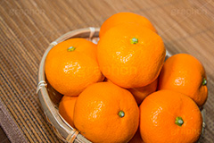かごに入ったみかん,みかん,ミカン,蜜柑,オレンジ,果樹,果実,フルーツ,果物,くだもの,爽やか,甘酸っぱい,冬,かご,カゴ,籠,ビタミン,狩り,こたつ,炬燵,コタツ,食後,デザート,季節感,正月,お正月,japan