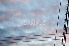 朝焼け・電線,朝焼け,あさやけ,朝,あさ,早朝,早起き,日の出,空,雲,電線,現象,空/天気,morning