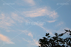 朝焼け,あさやけ,朝,あさ,早朝,早起き,日の出,染,空,雲,現象,空/天気,morning