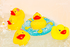 お風呂に浮かぶアヒルの玩具,お風呂,風呂,あひる,アヒル,鳥,浮く,浮き輪,くちばし,口ばし,水面,おもちゃ,玩具,TOY,シュール,遊び,こども,子供,キッズ,水しぶき,水遊び,温泉,kids,bath