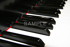 ピアノ,ぴあの,鍵盤,楽器,音楽,演奏,レッスン,コンサート,piano,曲,弾,白黒,弾いてみた,演奏してみた,ミュージック,連番,伴奏,音色,作曲,メロディ,melody,music,concert