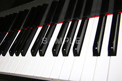 ピアノ,ぴあの,鍵盤,楽器,音楽,演奏,レッスン,コンサート,piano,曲,弾,白黒,弾いてみた,演奏してみた,ミュージック,連番,伴奏,音色,作曲,メロディ,melody,music,concert