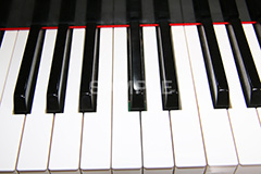 ピアノ,ぴあの,鍵盤,楽器,音楽,演奏,レッスン,コンサート,piano,曲,弾,白黒,弾いてみた,演奏してみた,ミュージック,連番,伴奏,音色,作曲,メロディ,melody,music,concert