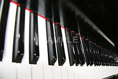 ピアノ,ぴあの,鍵盤,楽器,音楽,演奏,レッスン,コンサート,piano,曲,弾,白黒,弾いてみた,演奏してみた,ミュージック,連番,伴奏,音色,作曲,メロディ,melody,music,concert