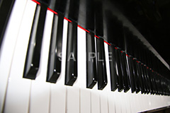 ピアノ,ぴあの,鍵盤,楽器,音楽,演奏,レッスン,コンサート,piano,曲,弾,白黒,弾いてみた,演奏してみた,ミュージック,連番,伴奏,音色,作曲,メロディ,melody,music,concert