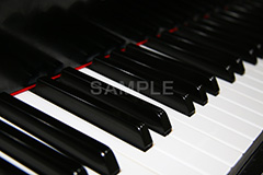 ピアノ,ぴあの,鍵盤,楽器,音楽,演奏,レッスン,コンサート,piano,曲,弾,白黒,弾いてみた,演奏してみた,ミュージック,連番,伴奏,音色,作曲,メロディ,melody,music,concert