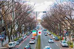 表参道のケヤキ並木,表参道,並木,並木道,ケヤキ並木,参道,青山通り,神宮前,大通り,渋谷区,青山,高級ブランド,旗艦店,買い物,ショッピング,ショップ,shop,shopping,brand