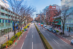 表参道ヒルズ,ヒルズ,表参道,並木,並木道,ケヤキ並木,参道,青山通り,神宮前,大通り,渋谷区,青山,高級ブランド,旗艦店,買い物,ショッピング,ショップ,shop,shopping,brand,hills