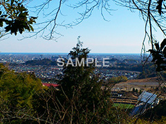 山,枯,木々,眺め,地形,自然,草木,スマホ撮影