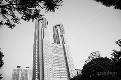 東京都庁(モノクロ),モノクロ,白黒,しろくろ,モノクローム,単色画,単彩画,単色,tokyo