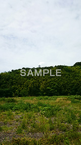 夏の川原,川原,河原,流れ,かわ,雑草,山,地形,草,草木,自然,スマホ撮影