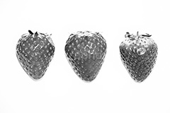 strawberry(モノクロ),モノクロ,白黒,しろくろ,モノクローム,単色画,単彩画,単色