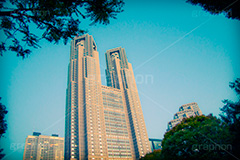 東京都庁(ビンテージ),トイカメラ撮影,トイカメラ,ヴィンテージ,ビンテージ,レトロ,お洒落,おしゃれ,オシャレ,味わい,トンネル効果