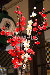 梅,うめ,お正月,正月,正月飾り,飾り,和,大晦日,縁起,清浄,new year,新年,年明け,年越し,年末,初詣,12/31,1/1,イベント,行事