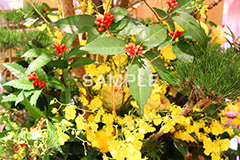 生け花,お正月,正月,正月飾り,飾り,和,大晦日,縁起,清浄,new year,新年,年明け,年越し,年末,初詣,12/31,1/1,イベント,行事