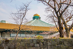 日本武道館,武道館,九段下,牛ヶ淵,千代田区,北の丸公園,伝統,武道,競技場,多目的ホール,ライブ,ライヴ,ホール,コンサート,柔道,競技,八角形,オリンピック,olympic