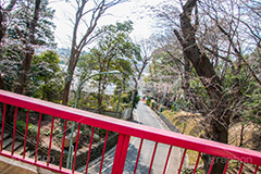 多摩川台公園,虹橋,公園,大田区,田園調布,台地,名所,広場,park,bridge,橋,赤い橋,坂,坂道