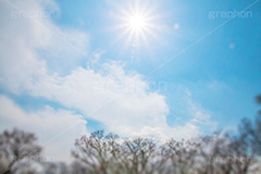 青空と太陽,太陽,逆光,フレア,木々,木,自然,空,青空,雲,ナチュラル,natural,sky,flare,空/雲,空/天気