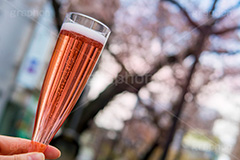 桜色のスパークリングワインでお花見,ワイン,スパークリング,炭酸,酒,お酒,さくら,桜,さくら祭り,花見,お花見,花より団子,女子力,おしゃれ,お洒落,オシャレ,桜色,乾杯,blossom,wine,sparkling