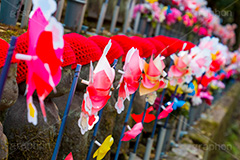 千躰子育地蔵尊,増上寺,芝公園,浄土宗,地蔵,お地蔵さん,子育て,安産,子供,こども,祈願,頭巾,赤い頭巾,風車,並ぶ,多い,大量,寺院,寺,参拝,重要文化財,文化財,港区,japan,temple