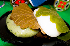 柏餅,かしわもち,かしわ餅,もち,餅,おもち,和菓子,菓子,お菓子,お茶請け,デザート,あん,餡子,あんこ,カシワ,かしわ,つぶあん,こしあん,5月5日,端午,節句,供物,こどもの日,子供の日,こども,子供,男の子,しばもち,よもぎ,ヨモギ,蓬,葉,葉っぱ,和,和食,日本食,文化,風習,行事,スイーツ,dessert,japan,kids