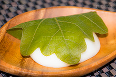 柏餅,かしわもち,かしわ餅,もち,餅,おもち,和菓子,菓子,お菓子,お茶請け,デザート,あん,餡子,あんこ,カシワ,かしわ,つぶあん,こしあん,5月5日,端午,節句,供物,こどもの日,子供の日,こども,子供,男の子,しばもち,葉,葉っぱ,和,和食,日本食,文化,風習,行事,スイーツ,dessert,japan,kids