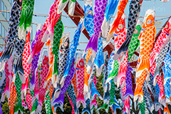 大量の鯉のぼり,大量,多い,こいのぼり,鯉のぼり,5月5日,端午,節句,供物,こどもの日,子供の日,こども,子供,男の子,東京タワー,とうきょうタワー,Tokyo Tower,event,kids,港区,和,文化,japan,風習,行事,なびく