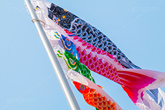 青空を泳ぐ鯉のぼり,こいのぼり,鯉のぼり,5月5日,端午,節句,供物,こどもの日,子供の日,こども,子供,男の子,東京タワー,とうきょうタワー,Tokyo Tower,event,kids,港区,和,文化,japan,風習,行事,なびく