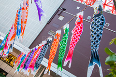 東京タワーの鯉のぼり,こいのぼり,鯉のぼり,5月5日,端午,節句,供物,こどもの日,子供の日,こども,子供,男の子,東京タワー,とうきょうタワー,Tokyo Tower,event,kids,港区,和,文化,japan,風習,行事,なびく