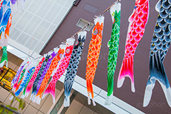 東京タワーの鯉のぼり,こいのぼり,鯉のぼり,5月5日,端午,節句,供物,こどもの日,子供の日,こども,子供,男の子,東京タワー,とうきょうタワー,Tokyo Tower,event,kids,港区,和,文化,japan,風習,行事,なびく