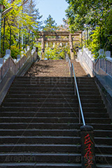 西久保八幡神社,神社,八幡,港区,虎ノ門,参拝,お参り,鳥居,階段,石段,神谷町,japan,和