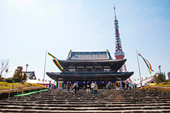 増上寺,寺,境内,行事,参拝,お参り,寺,芝公園,港区,東京タワー,タワー,塔,japan,temple,石段,階段