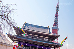 増上寺,寺,境内,行事,参拝,お参り,寺,芝公園,港区,東京タワー,タワー,塔,japan,temple