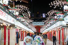 夜の仲見世通り,夜,ライトアップ,仲見世,仲見世通り,浅草,雷門,宝蔵門,浅草寺,あさくさ,みやげ物,みやげ,お土産,商店,寺院建築風,台東区,正月,お正月,三が日,浅草 名所,浅草 観光,和,asakusa,japan,night