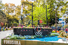 春の横浜公園,横浜,公園,神奈川,花,お花,フラワー,はな,flower,花畑,春,spring,park,stadium,横浜スタジアム,スタジアム,球場,野球,ベイスボール,横浜DeNAベイスターズ